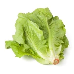 Lechuga · 1 unidad